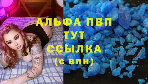 шишки Осинники