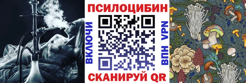 Псилоцибиновые грибы Psilocybine cubensis  blacksprut маркетплейс  Зеленодольск  даркнет сайт 